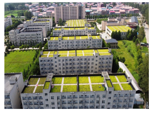 屋顶简式草坪碳中和