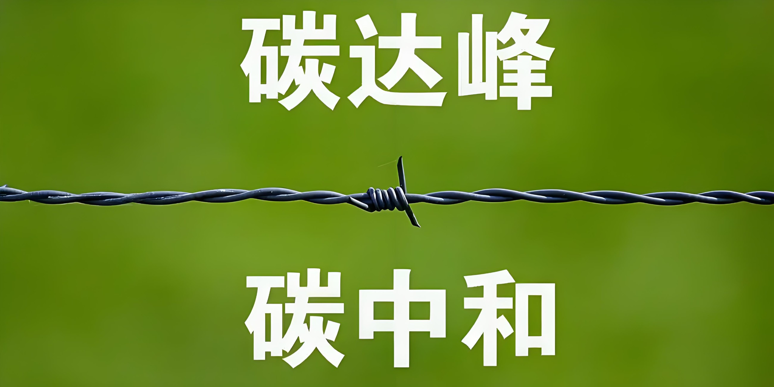 实现“双碳”目标需要百万亿级别的绿色低碳投资 实现“双碳”目标需要百万亿级别的绿色低碳投资